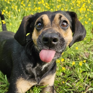 Fundraising Page: Erin Hancock